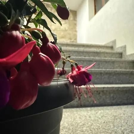 Διαμέρισμα Casa Nevija *